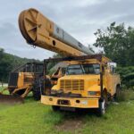 Tree trimming truck. Bucket truck for sale.